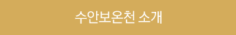 수안보온천 소개